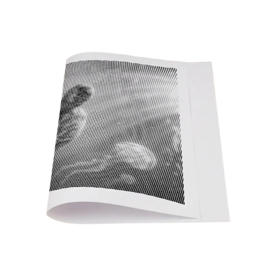 Marine Life Dot Painting