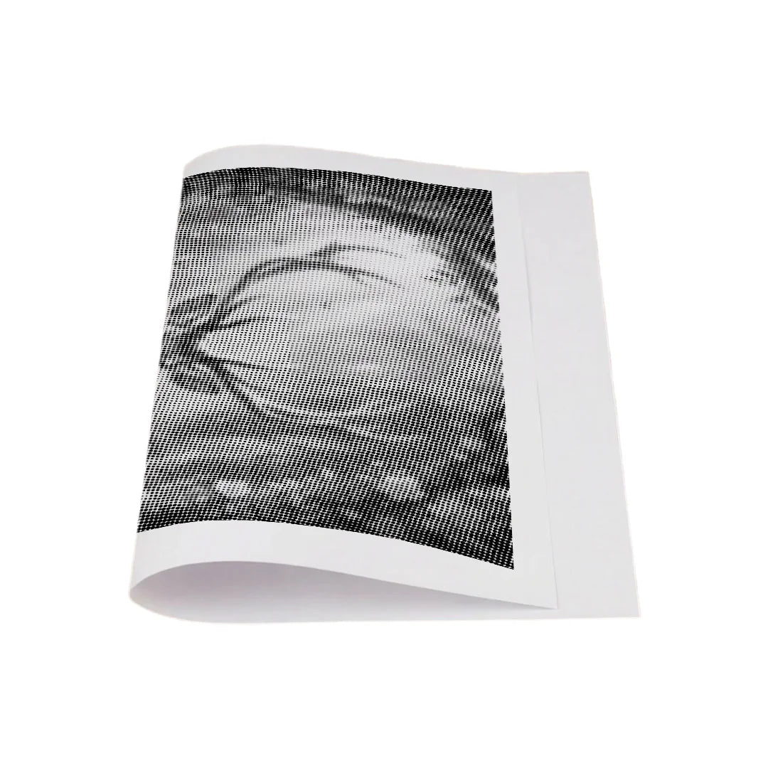 Majestic Deer Dot Painting