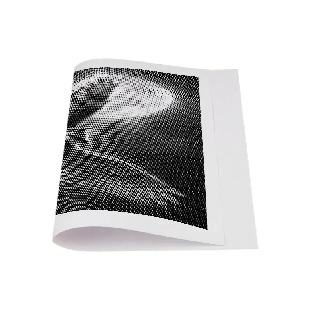 Owl and the Moon Dot Painting