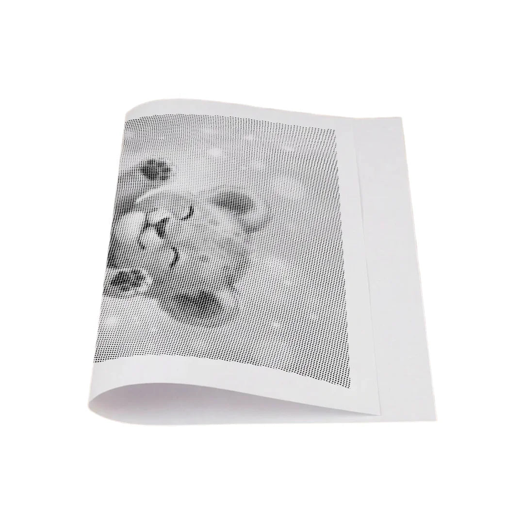 Lion Cub Dot Painting