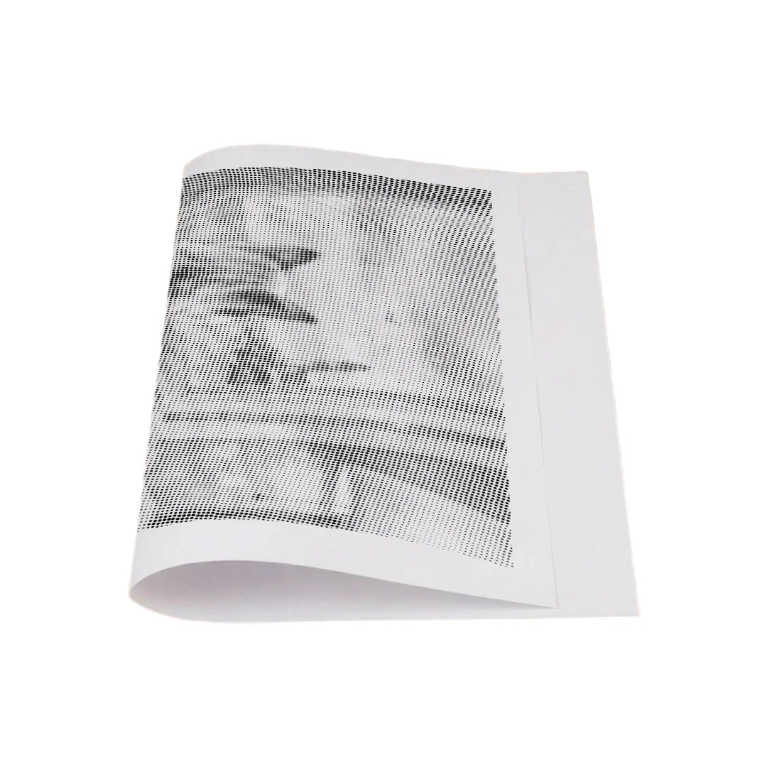 Cat Looks at Birds Dot Painting