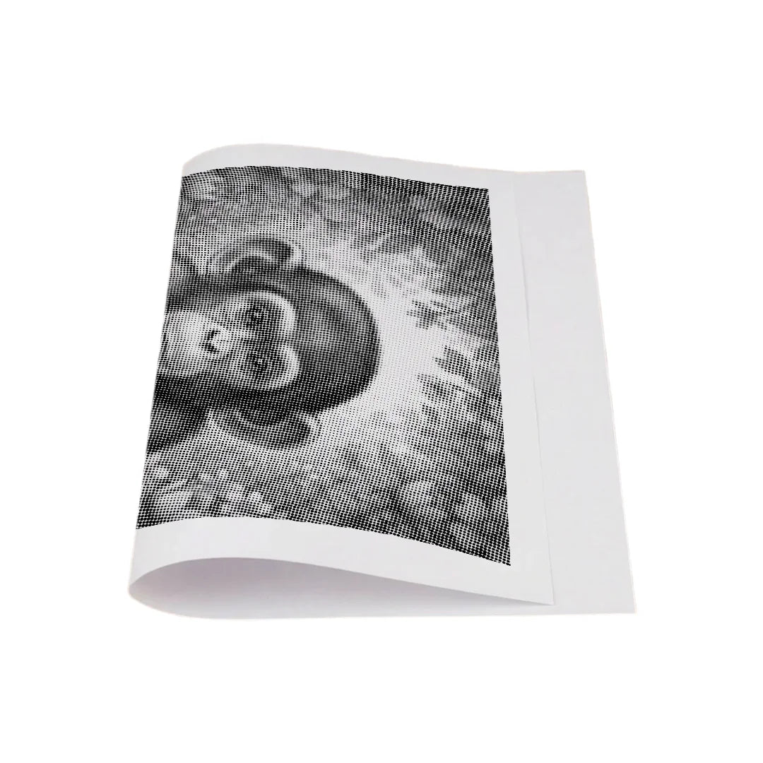 Monkey with Flowers Dot Painting