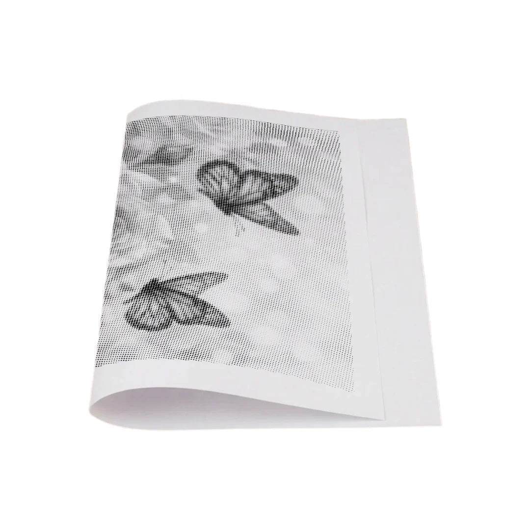 Butterfly with Rose Dot Painting