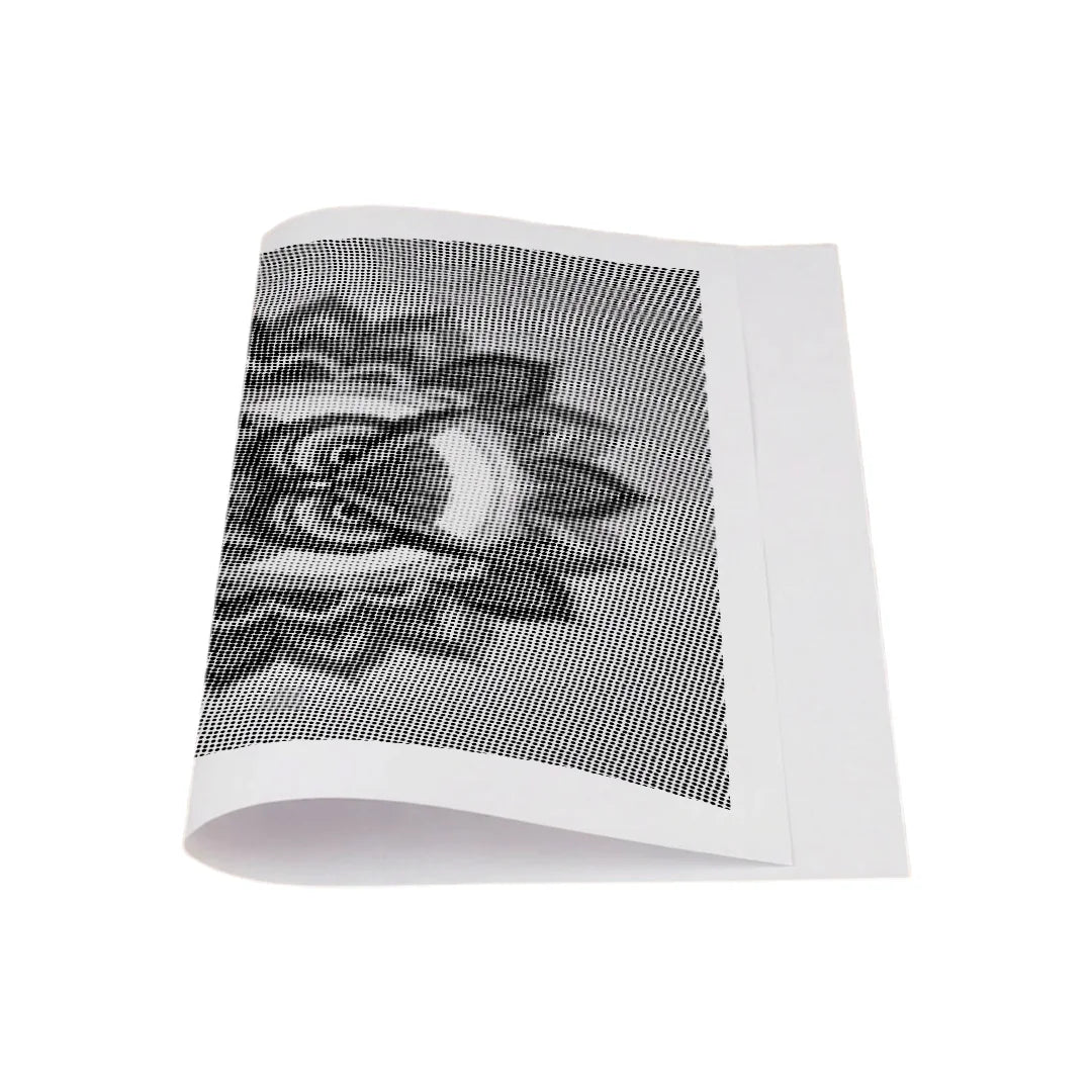 Owl Mandala 3 Dot Painting