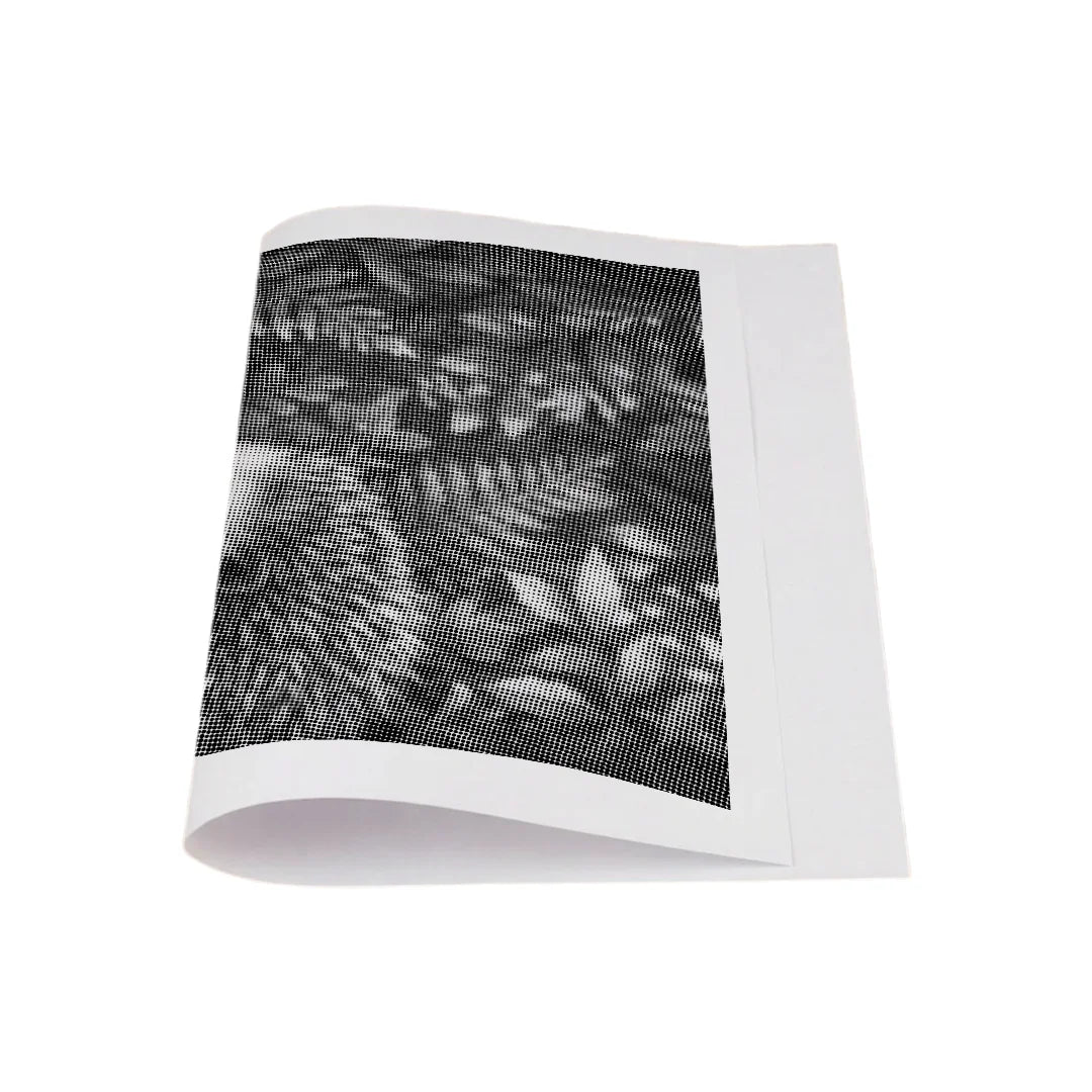 Little Hedgehog Dot Painting