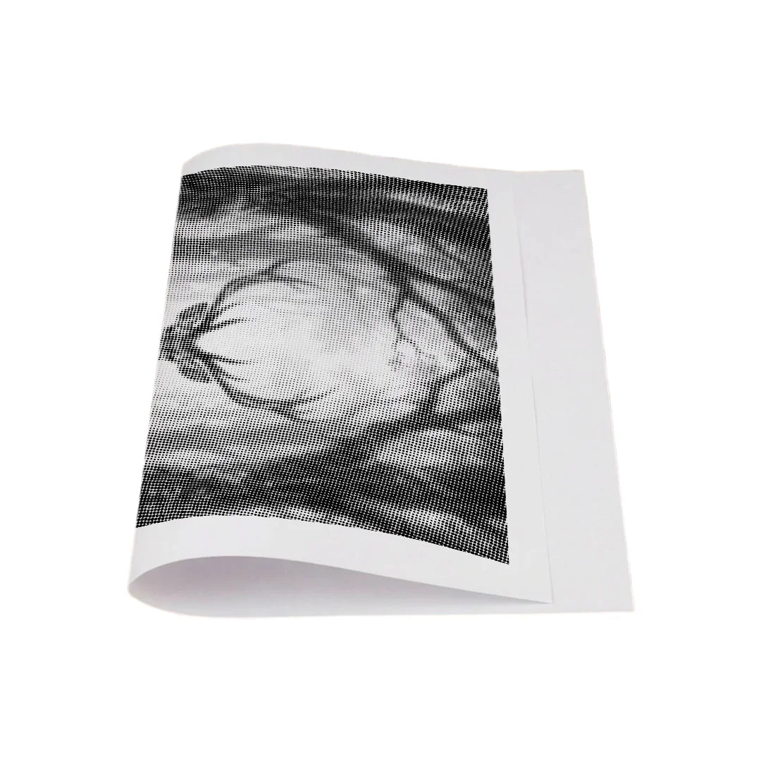 Deer with Flowers Dot Painting