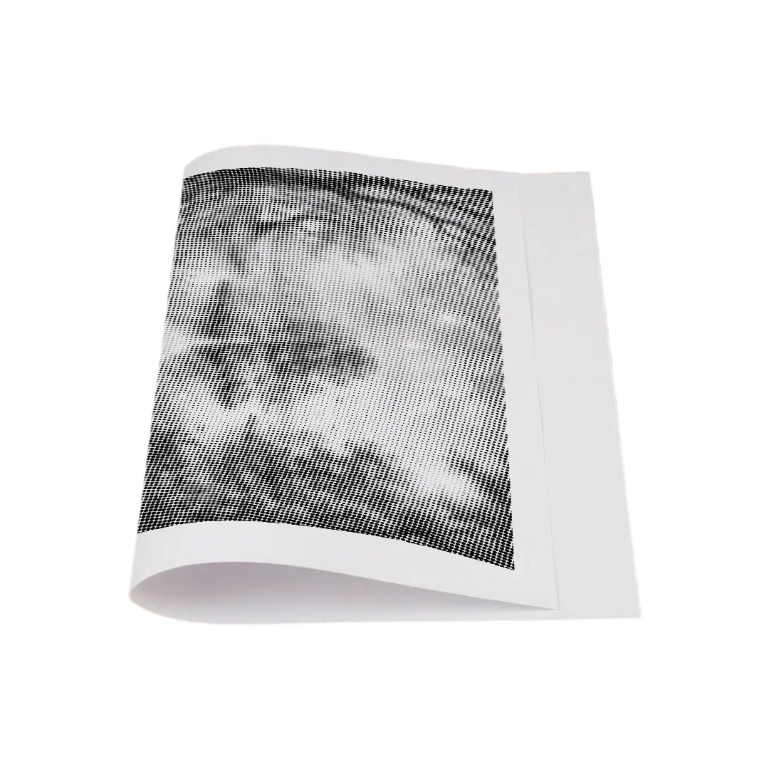 4 Seasons Dot Painting