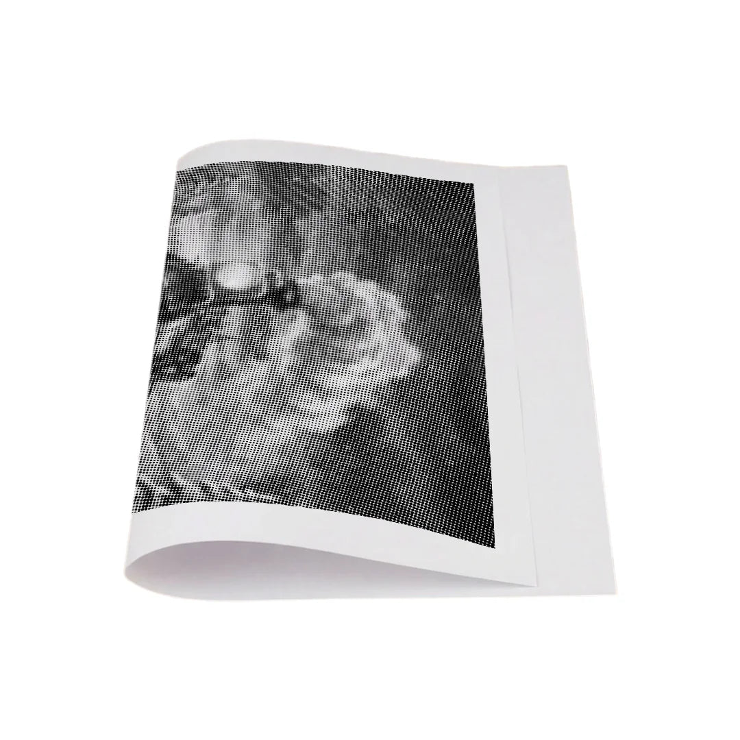 Polar Express Dot Painting