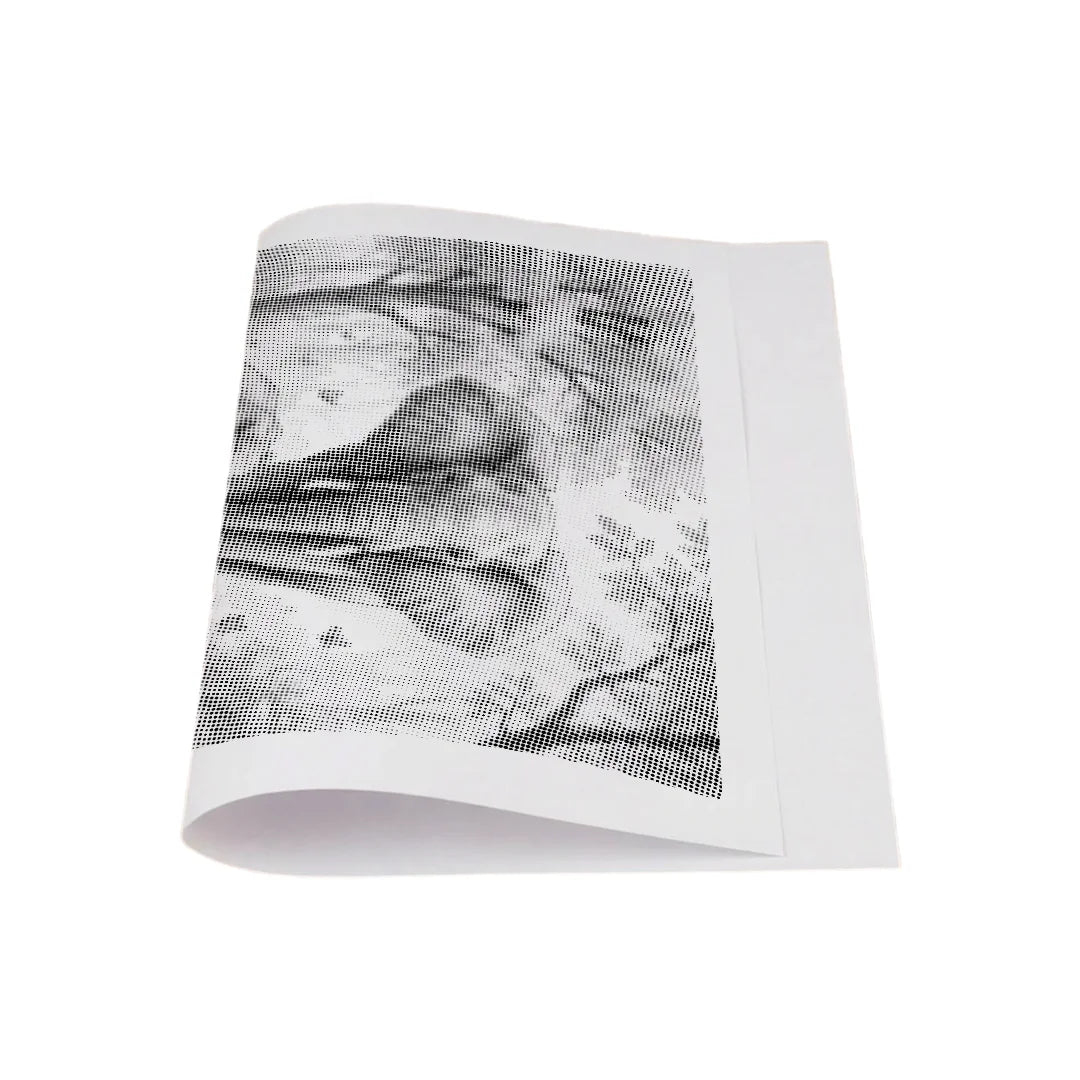 Elephant Family Dot Painting