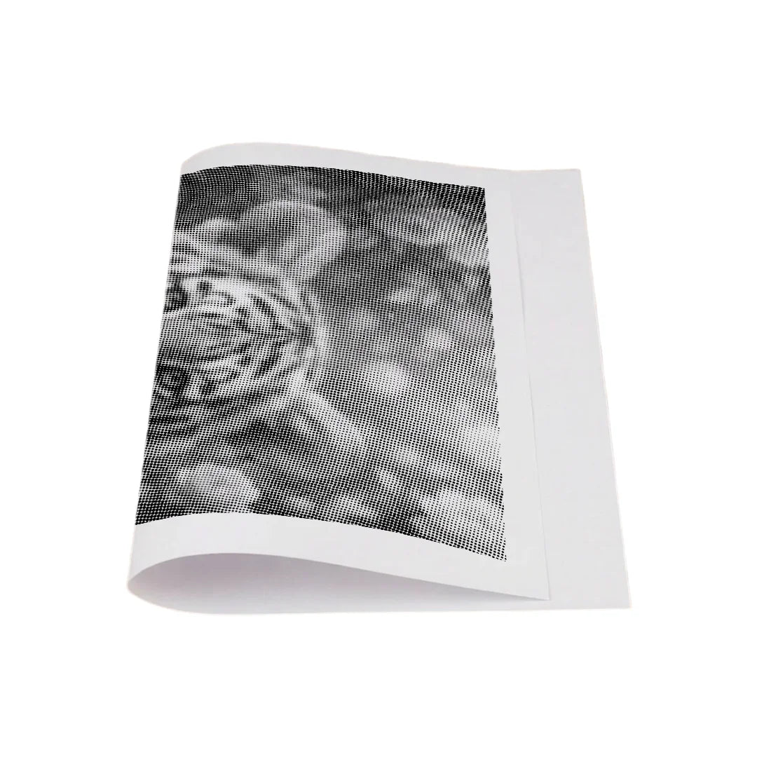 Tiger with Flowers Dot Painting