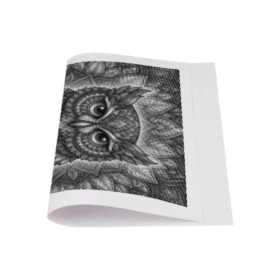 Owl Mandala 2 Dot Painting