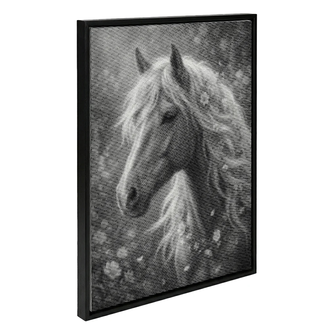 Horse with Flowers Dot Painting