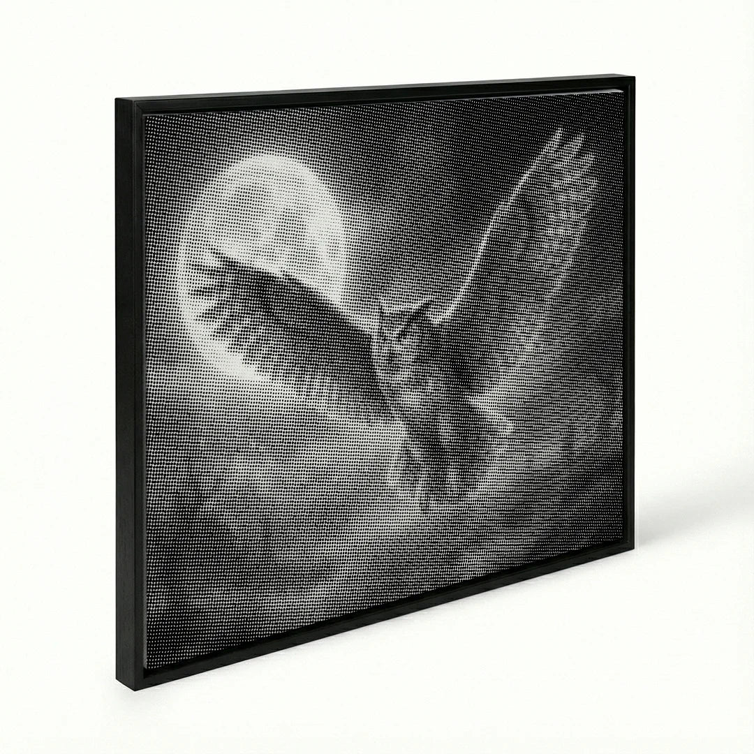 Owl and the Moon Dot Painting