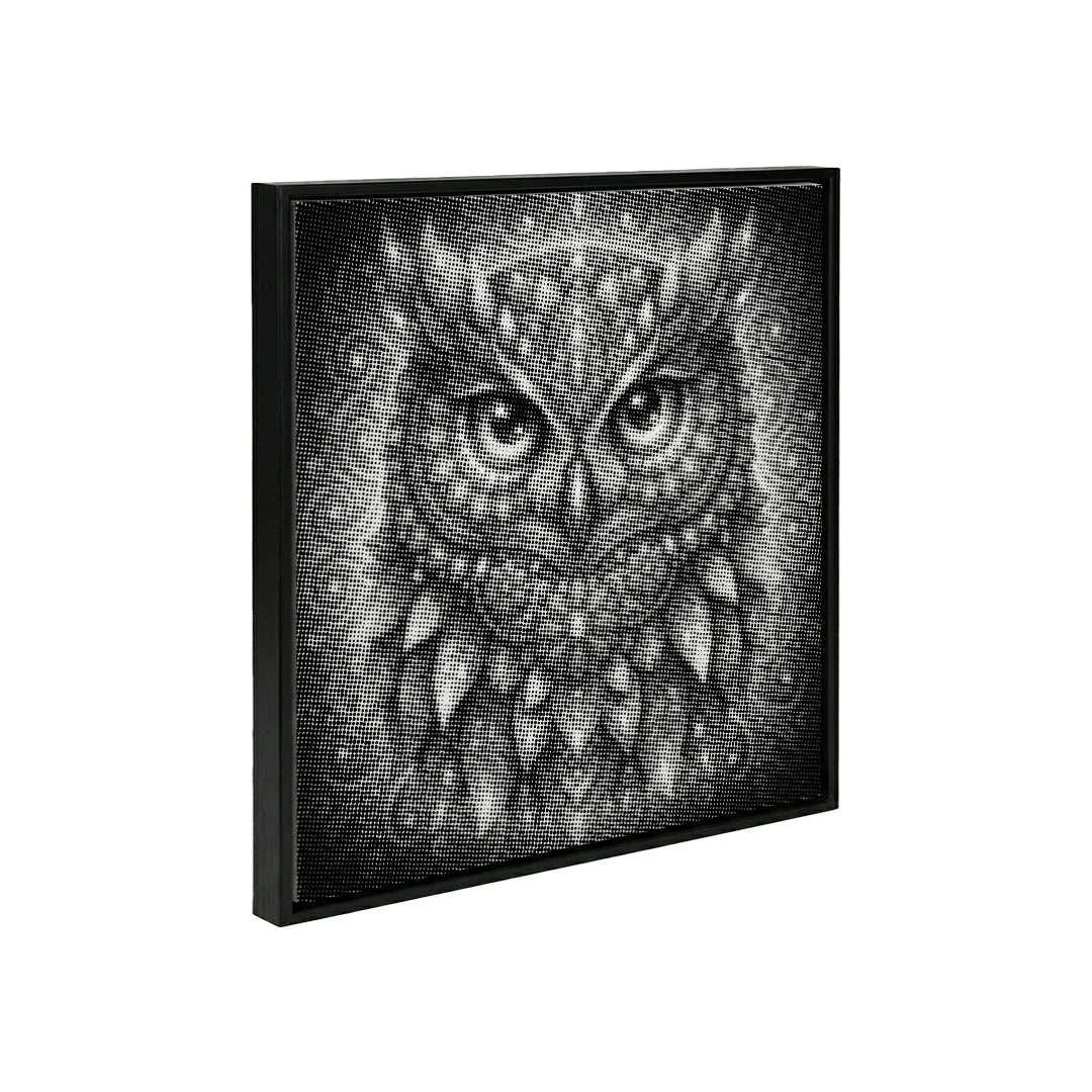 Owl Mandala Dot Painting