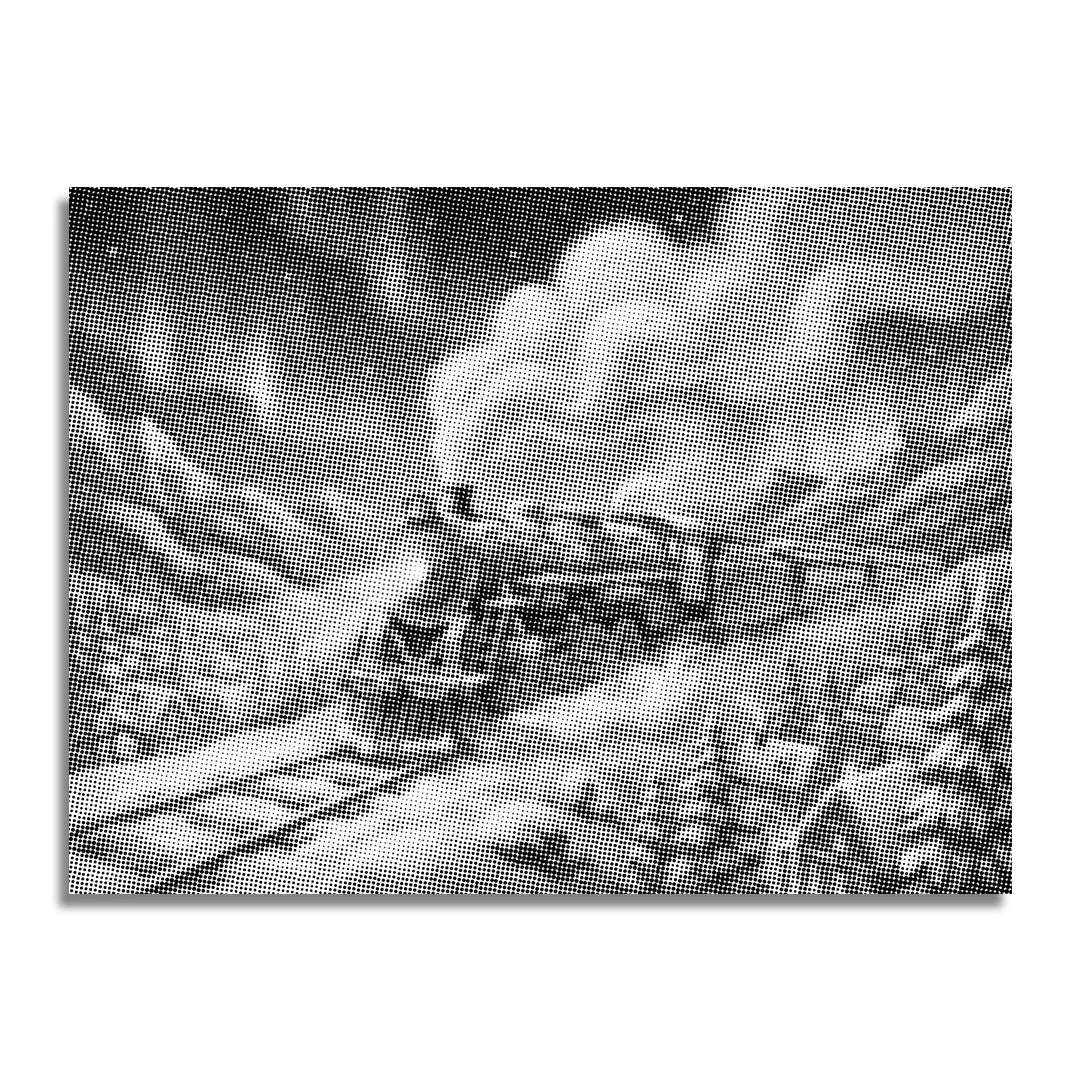 Polar Express 2 Dot Painting