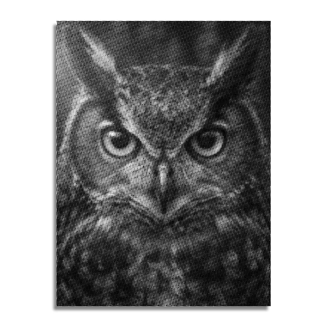 Starring Owl Dot Painting