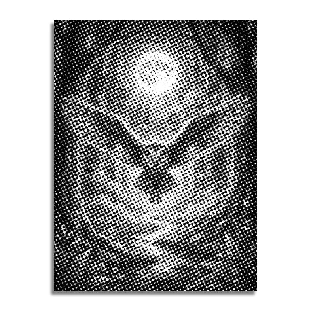 Owl in the Forest Dot Painting