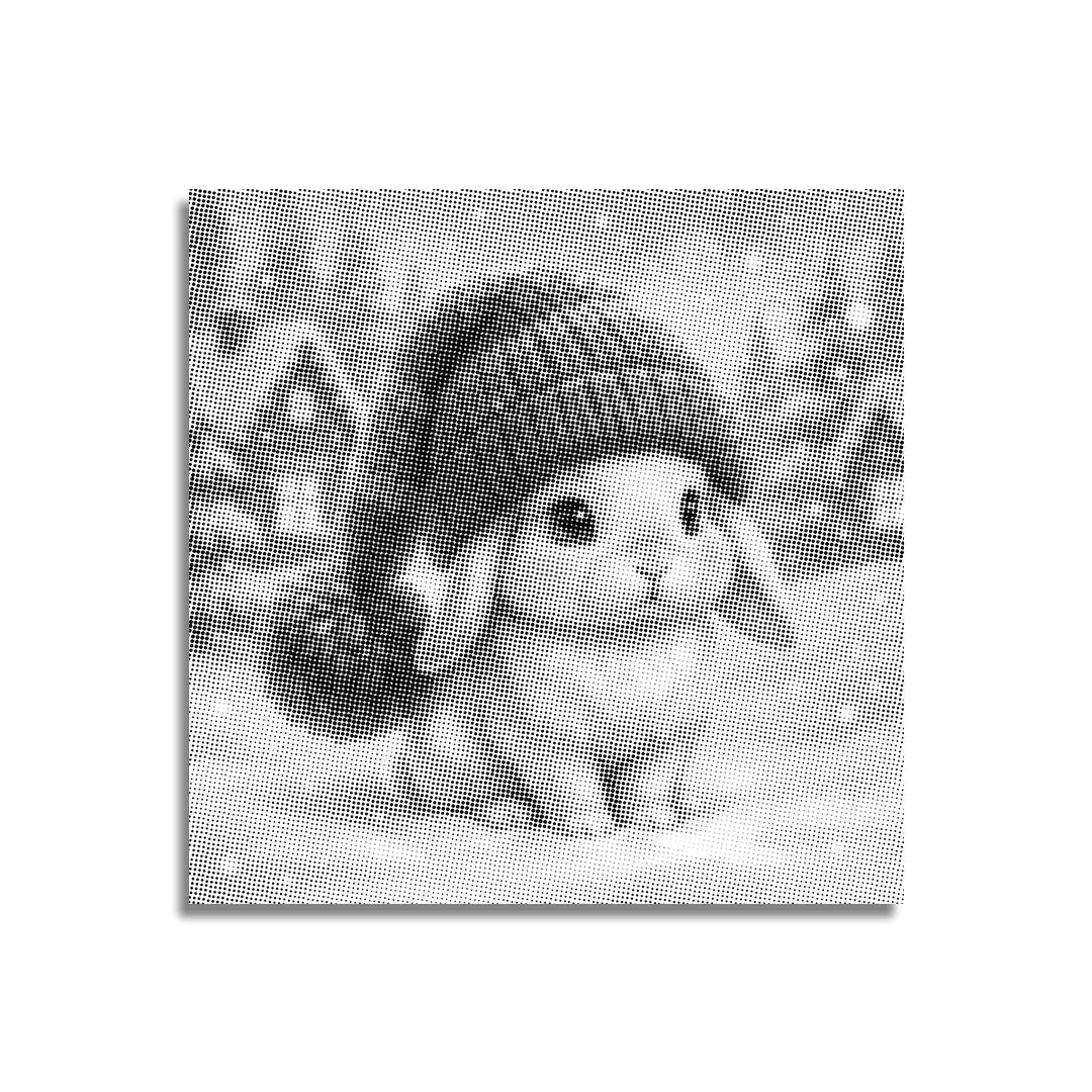 Winter Bunny Dot Painting