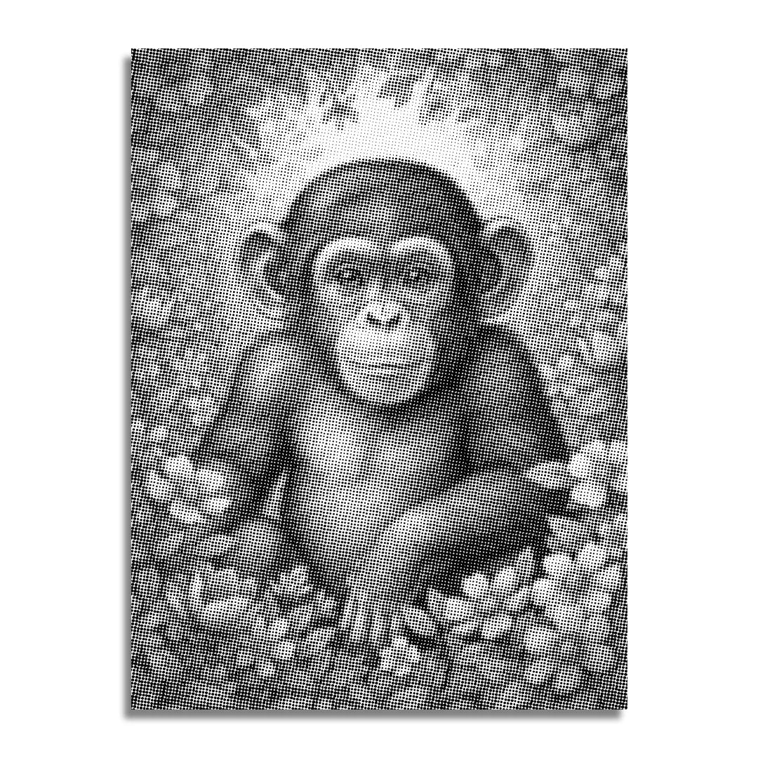 Monkey with Flowers Dot Painting