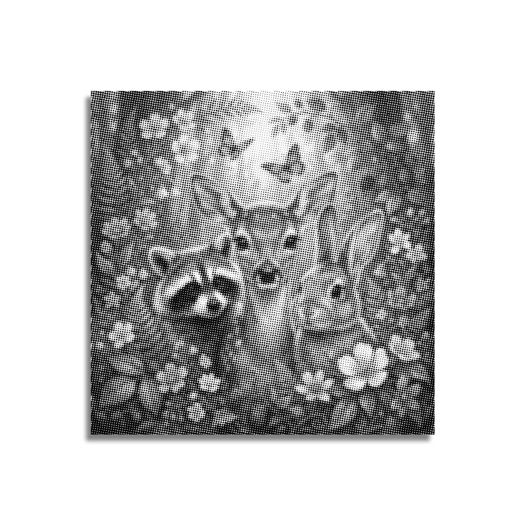 Happy Animals Dot Painting