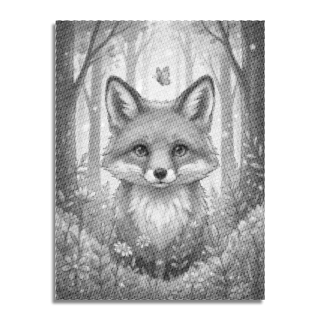 Fox with Flowers Dot Painting