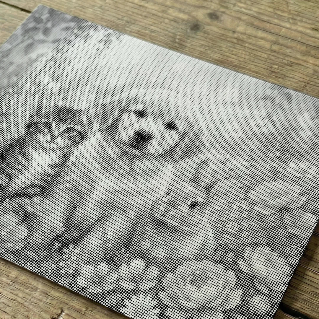 Cat Dog and Bunny Dot Painting