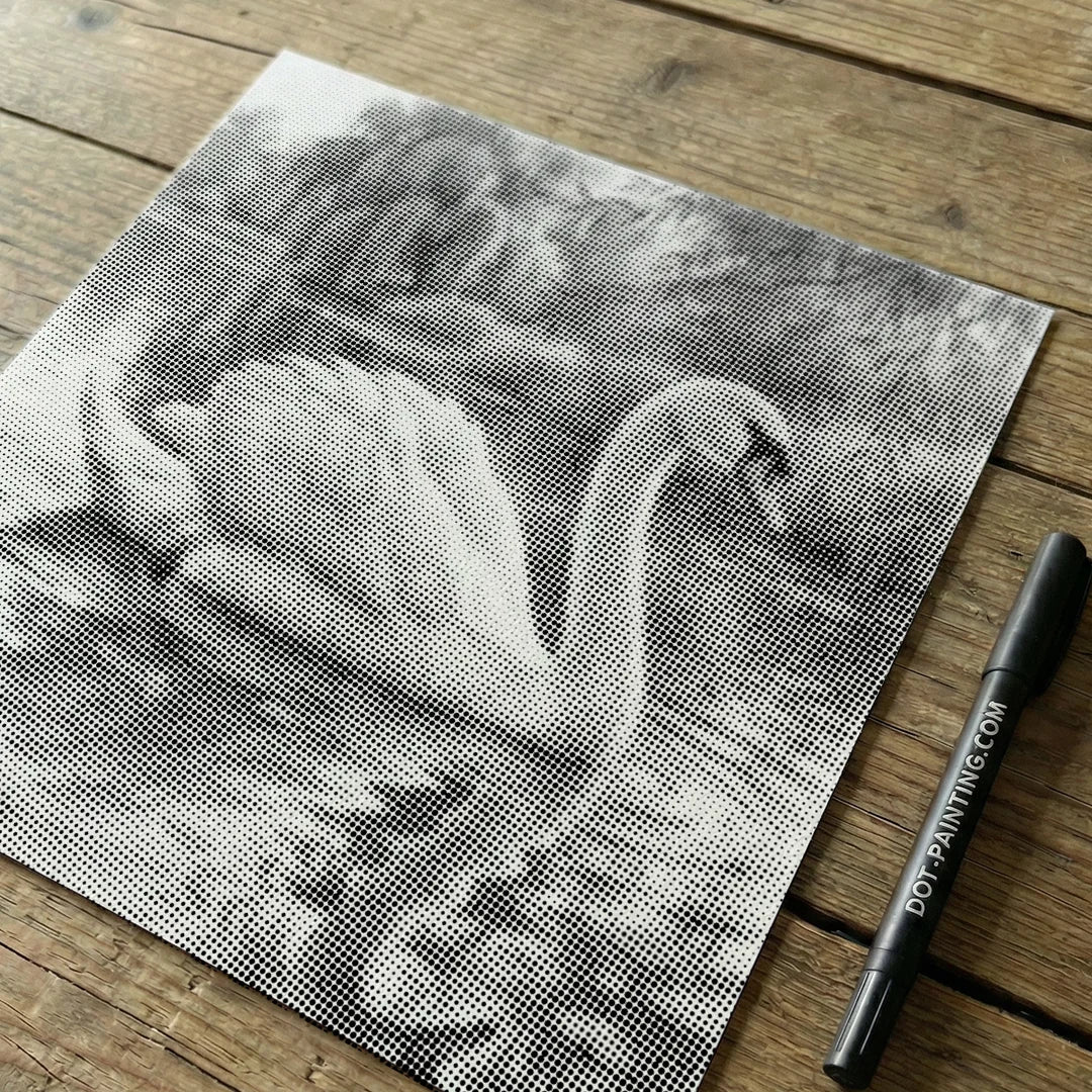 Swan Dot Painting