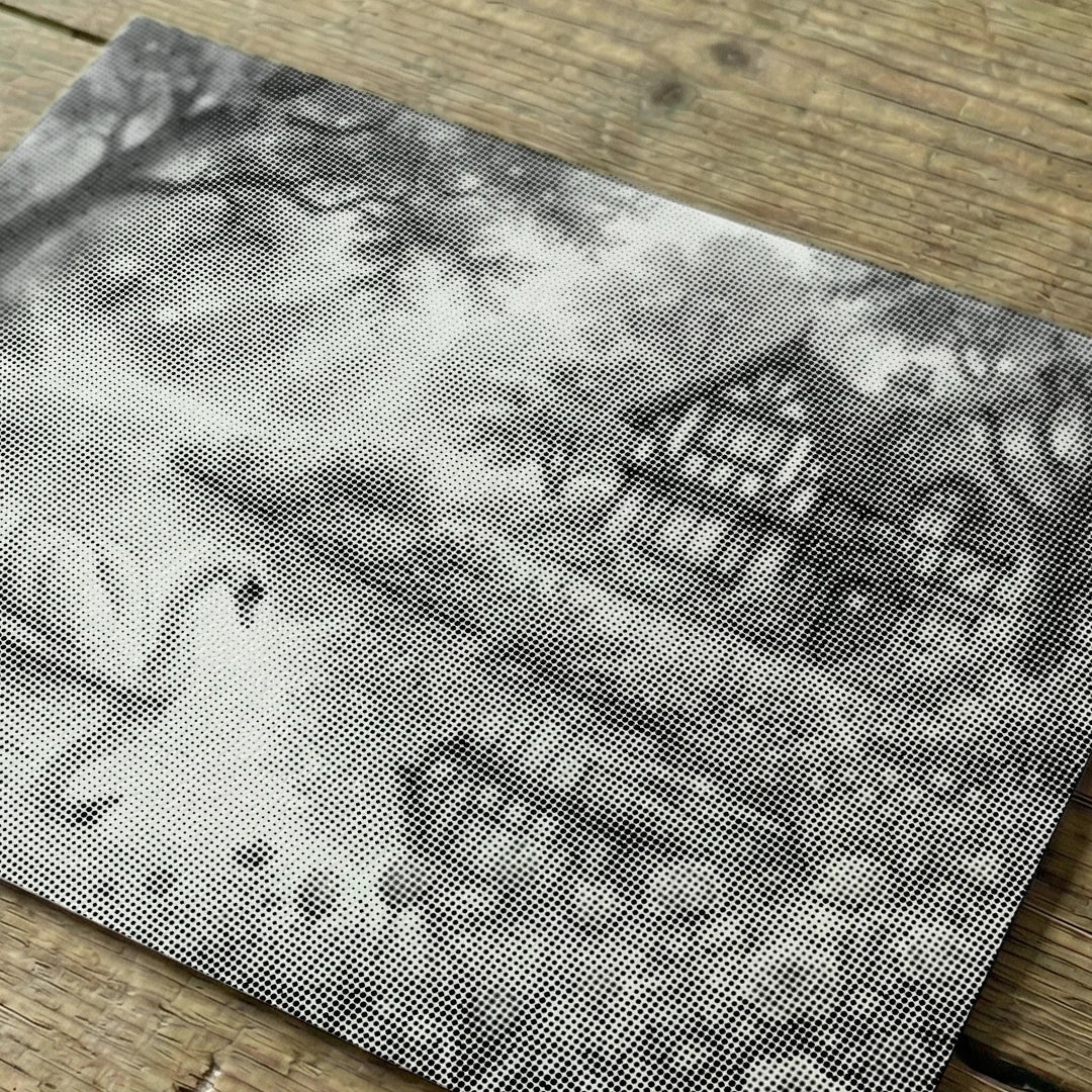 Swan Lake Dot Painting