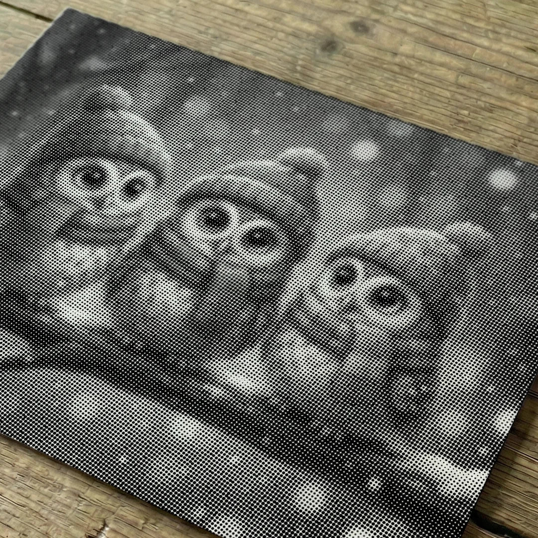 Owls with Hats Dot Painting