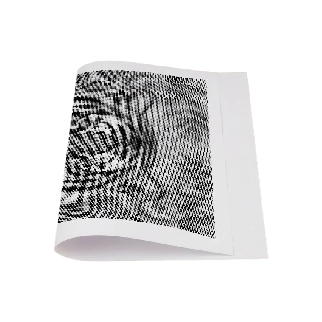 Tiger on Flowers Dot Painting