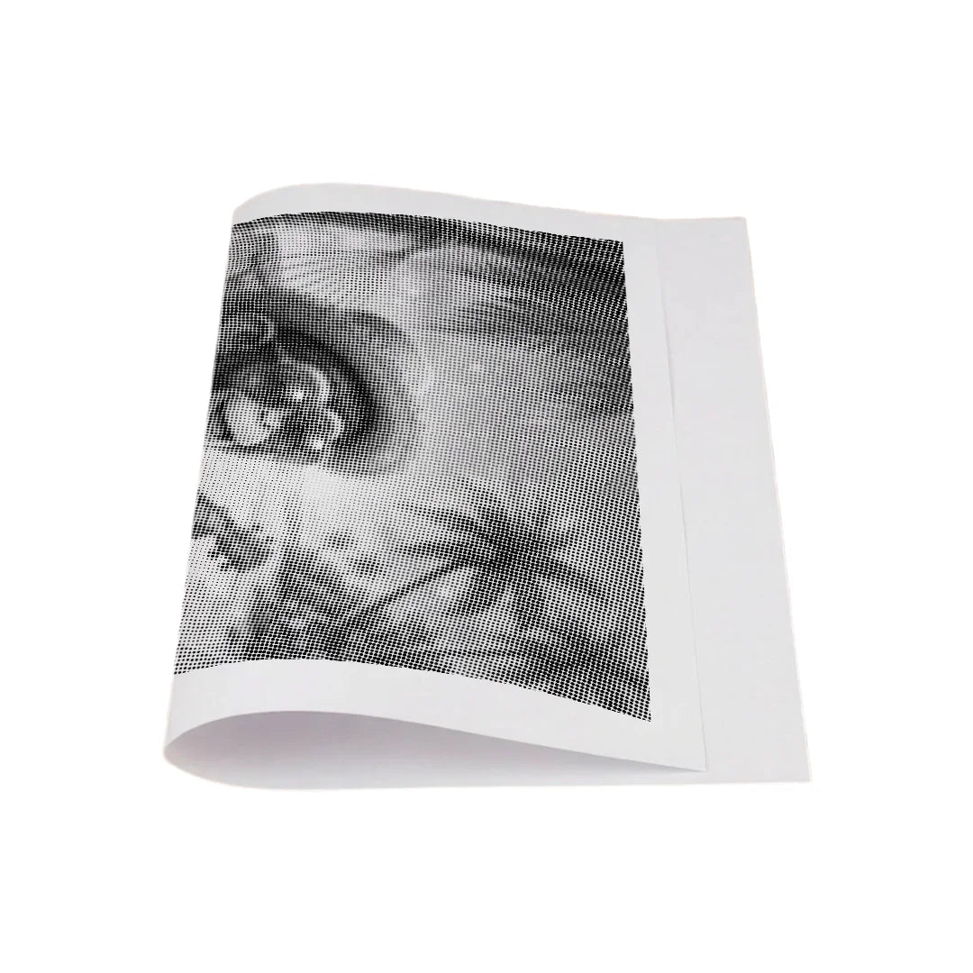 Monkey in Hammock Dot Painting