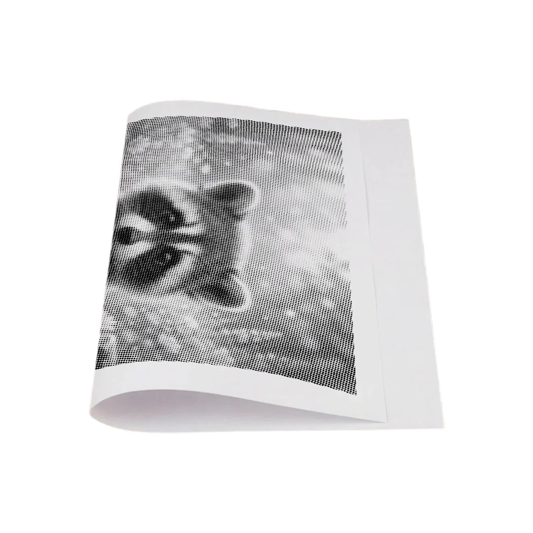 Raccoon with Flowers Dot Painting