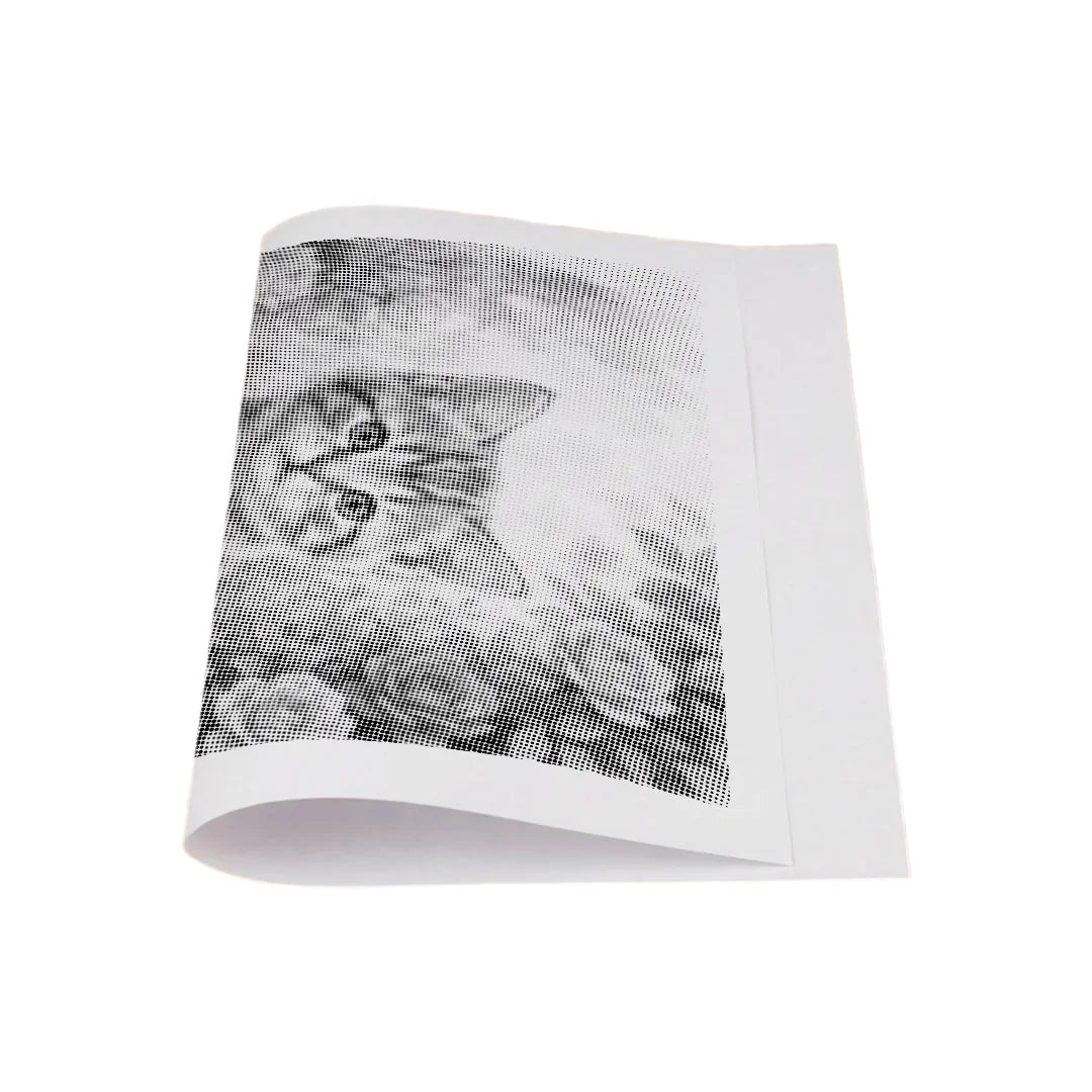 Cat with Flowers Dot Painting