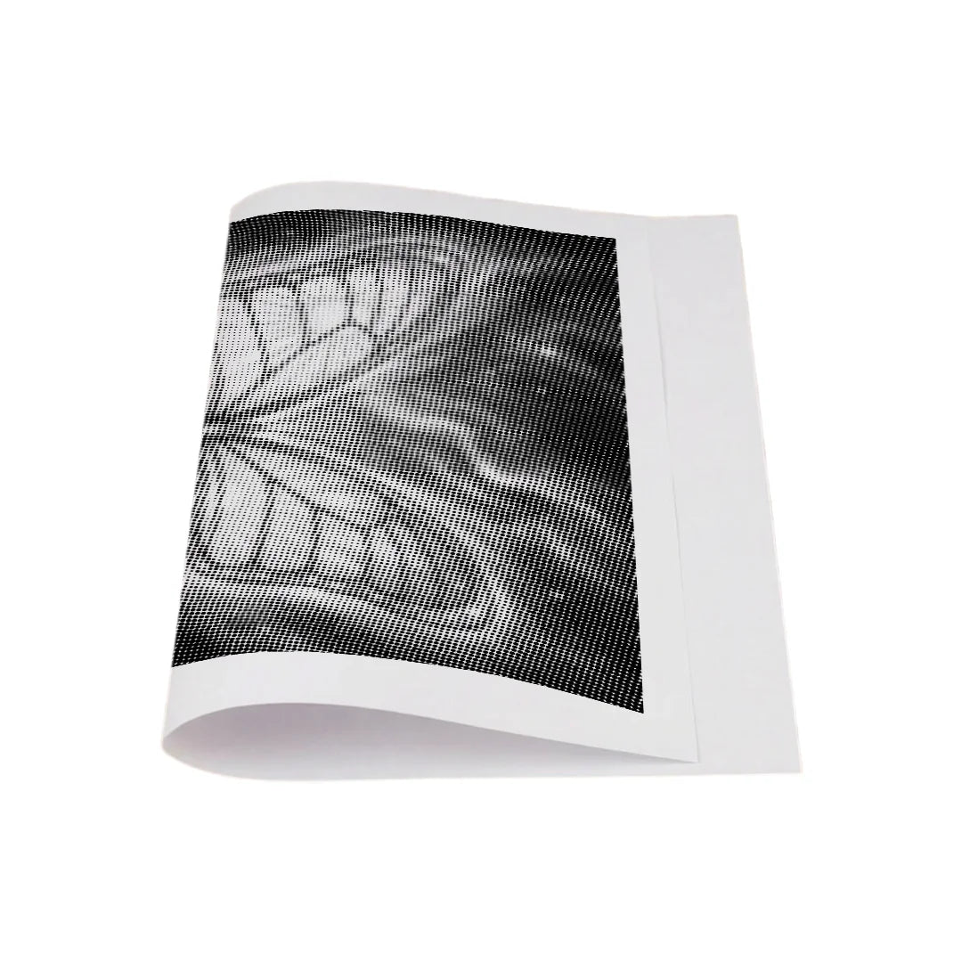 Butterfly of the 4 Seasons Dot Painting