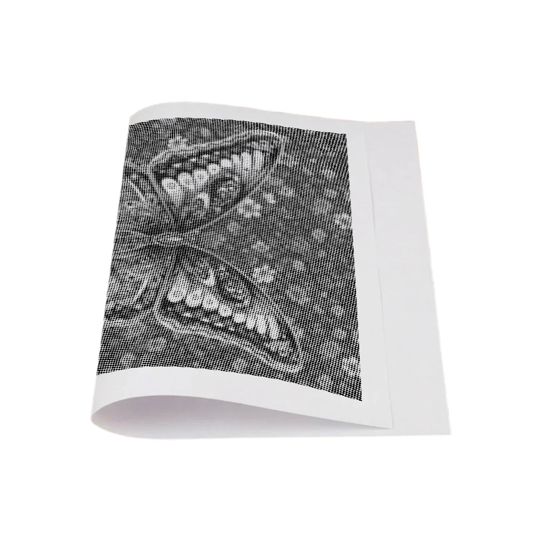 Graceful Butterfly Dot Painting