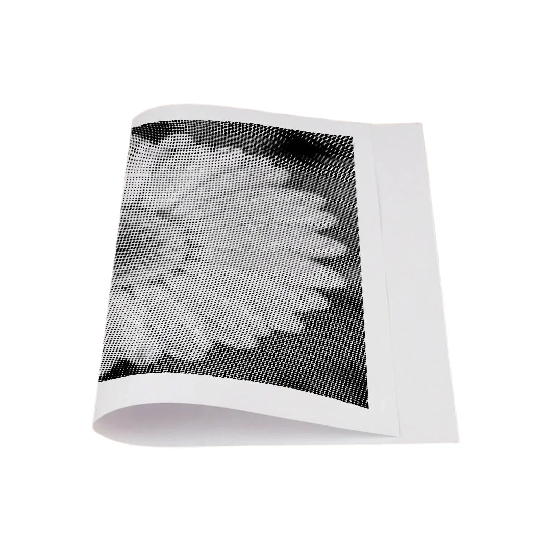 Flower with Water Droplets Dot Painting