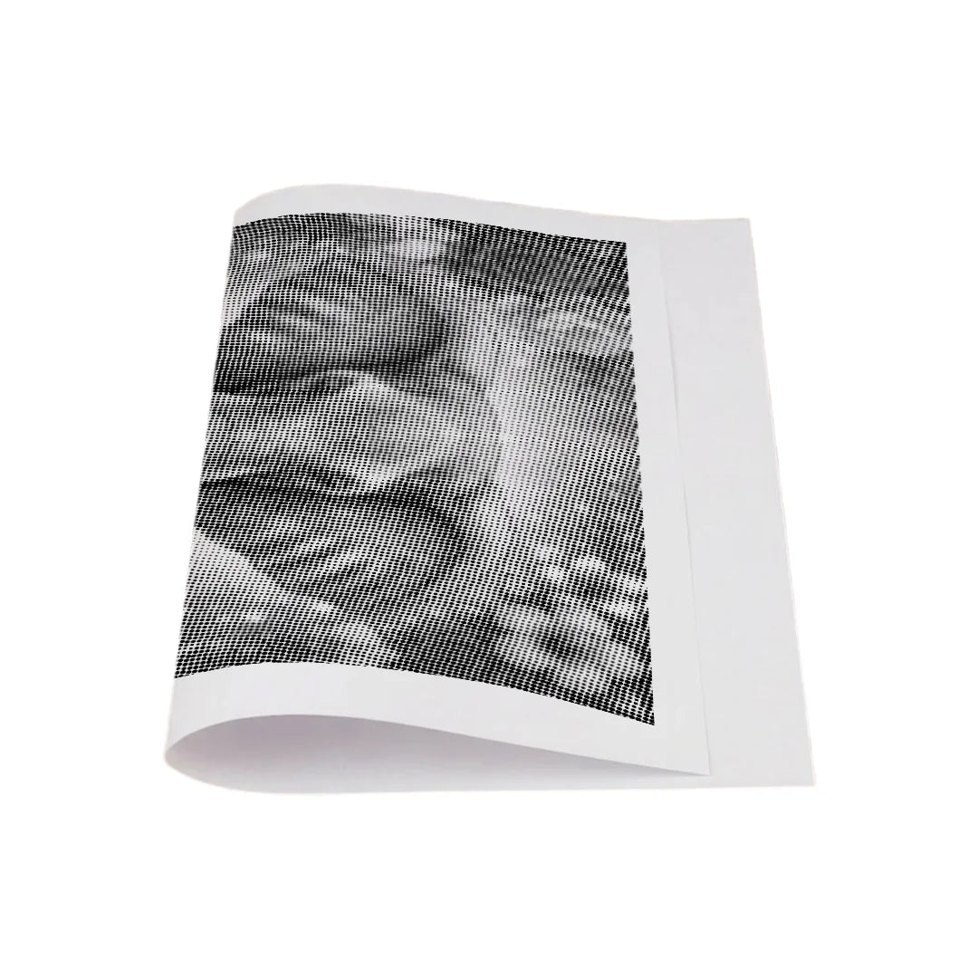 Elephant with Flowers Dot Painting