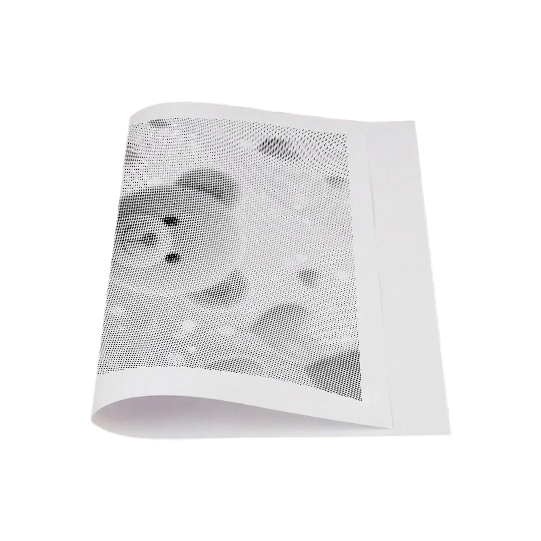Teddy Bear Dot Painting
