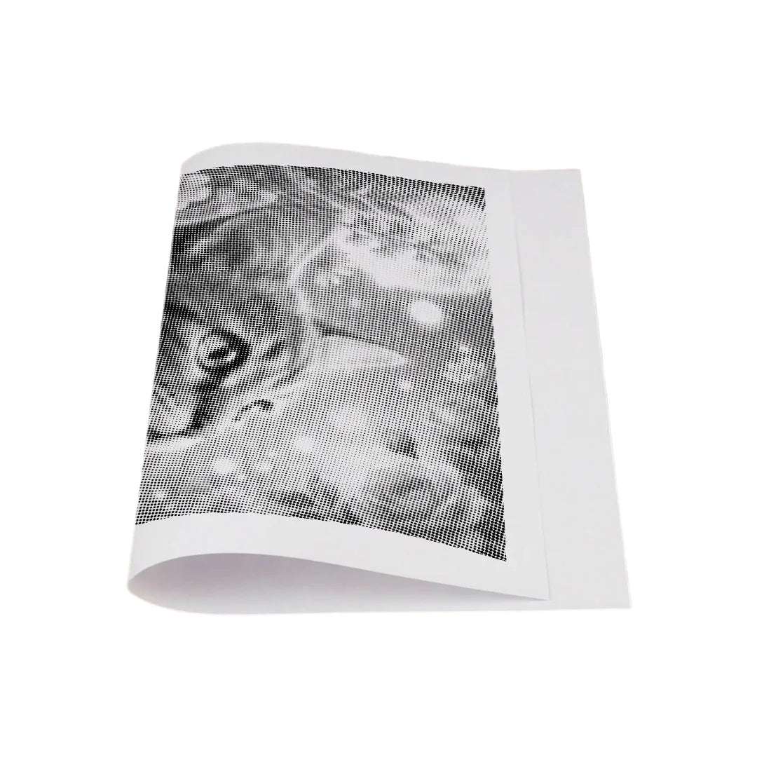 Cat with Flowers Dot Painting