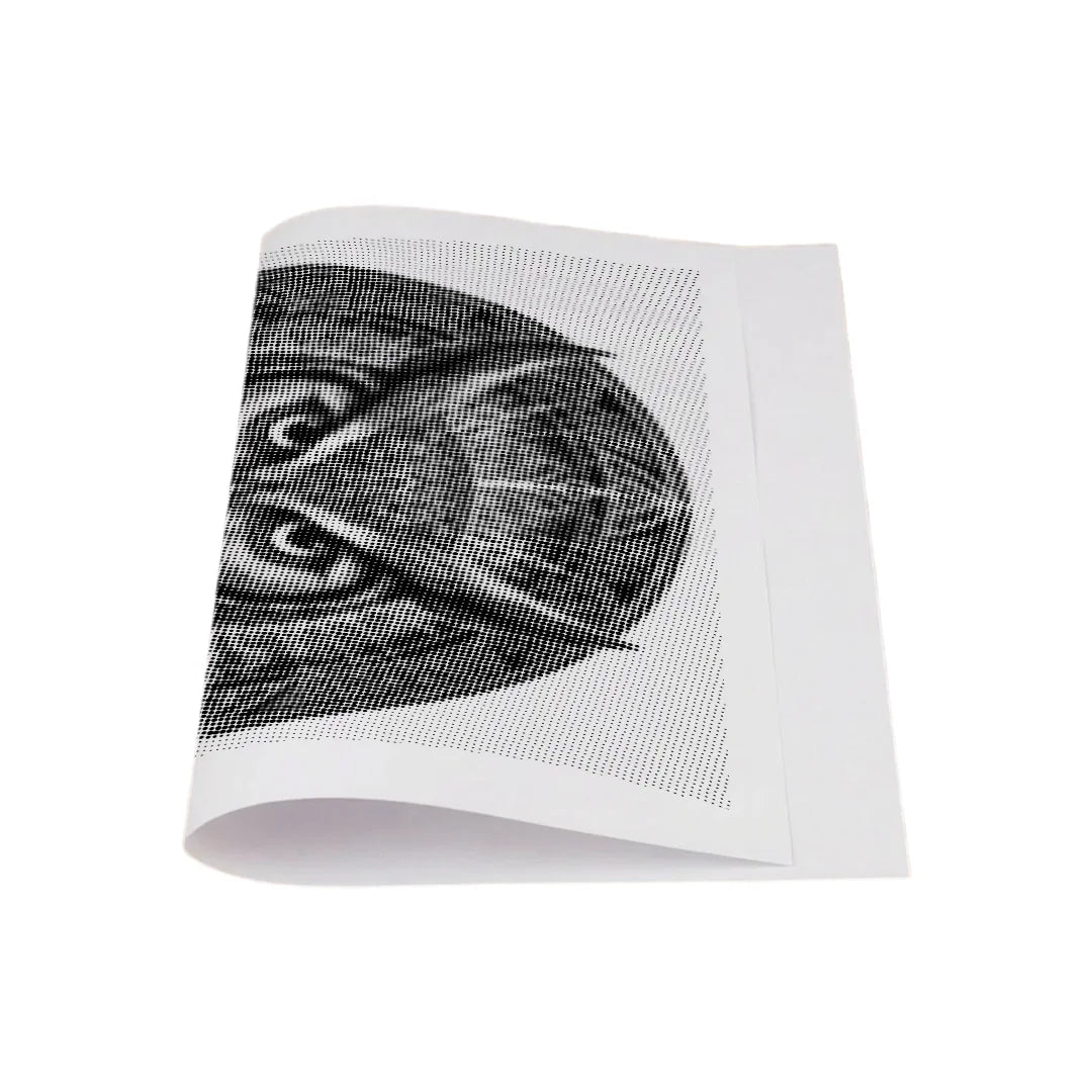 Owl Mandala Dot Painting