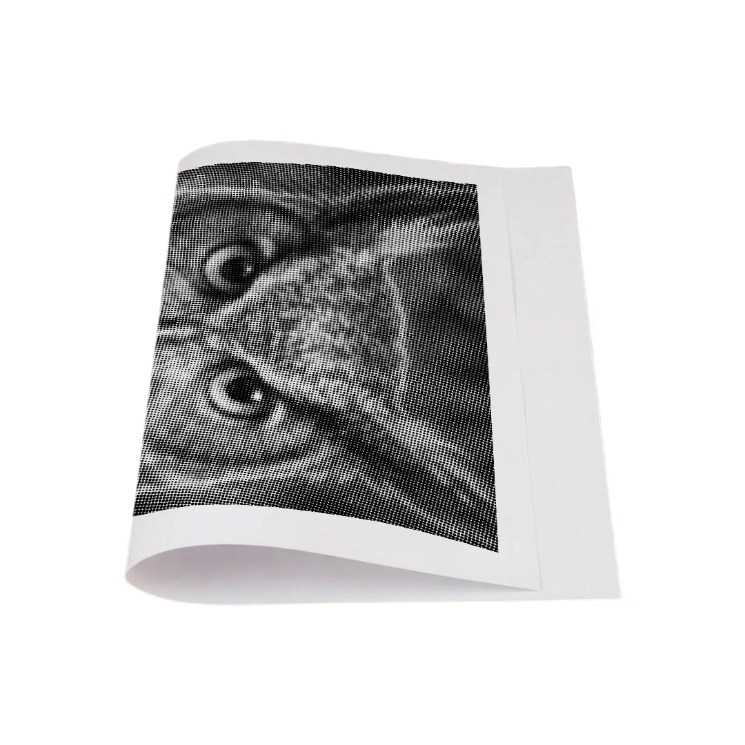 Angry Owl Dot Painting