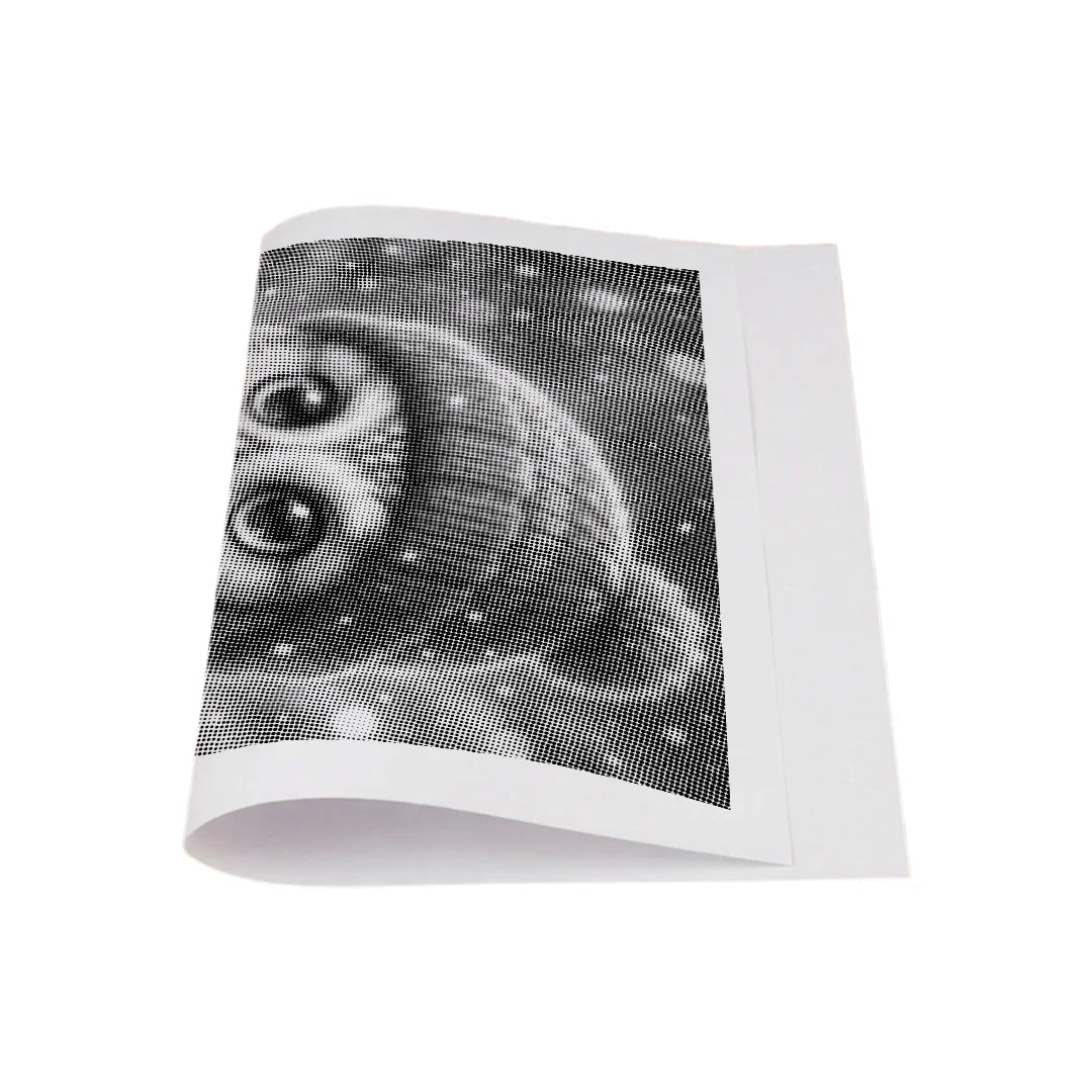 Little Christmas Owl Dot Painting