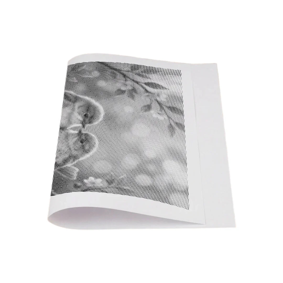 Love Birds Dot Painting