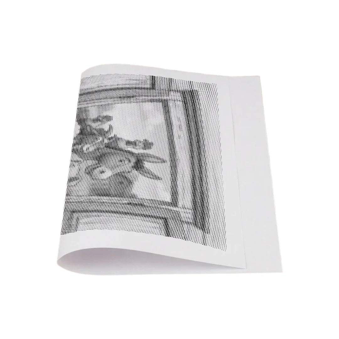 Curious Farm Animals Dot Painting