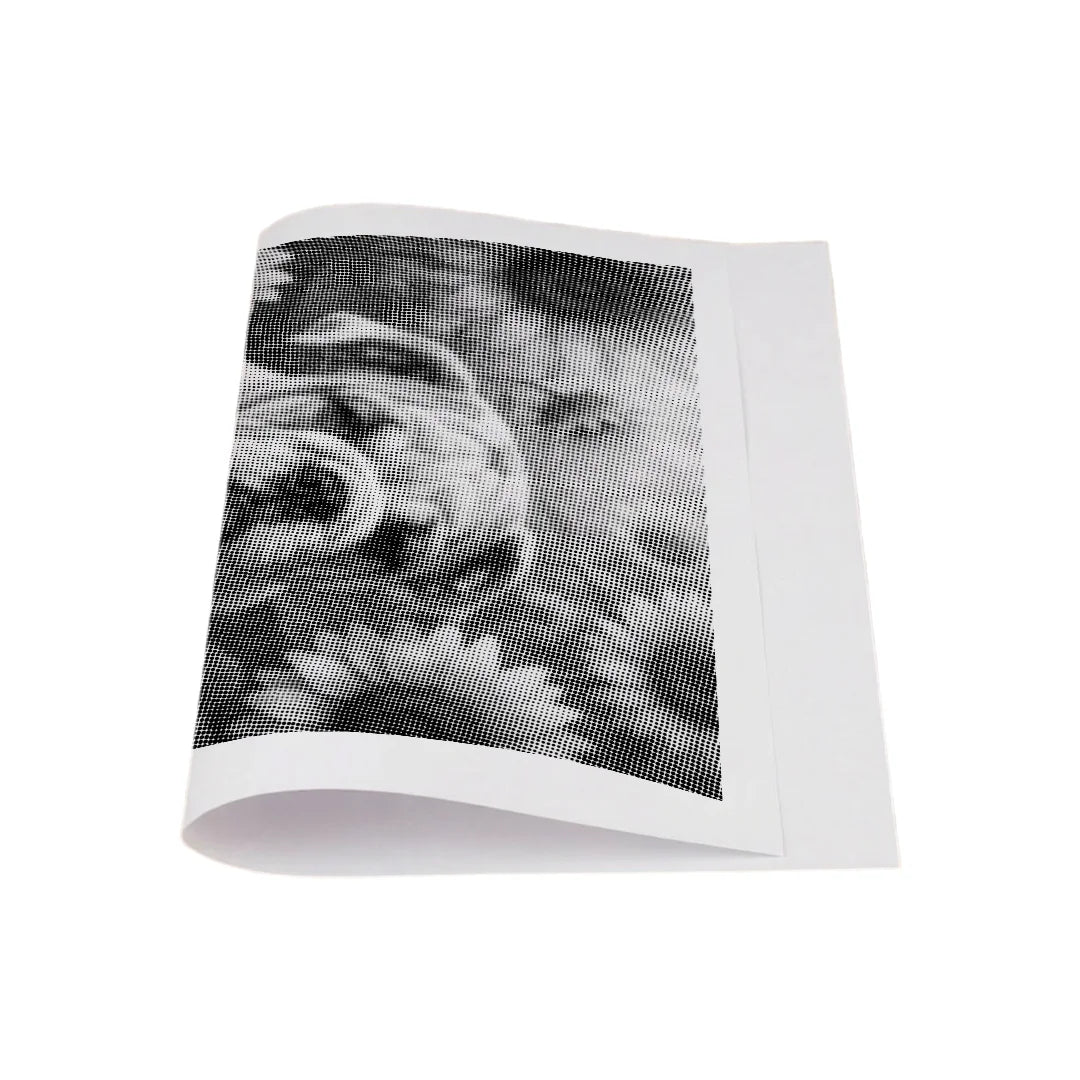 Bulldog Dot Painting