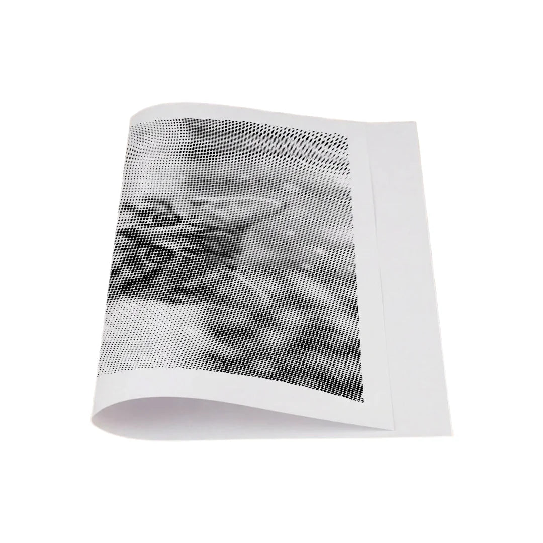 Kitten in the Snow Dot Painting