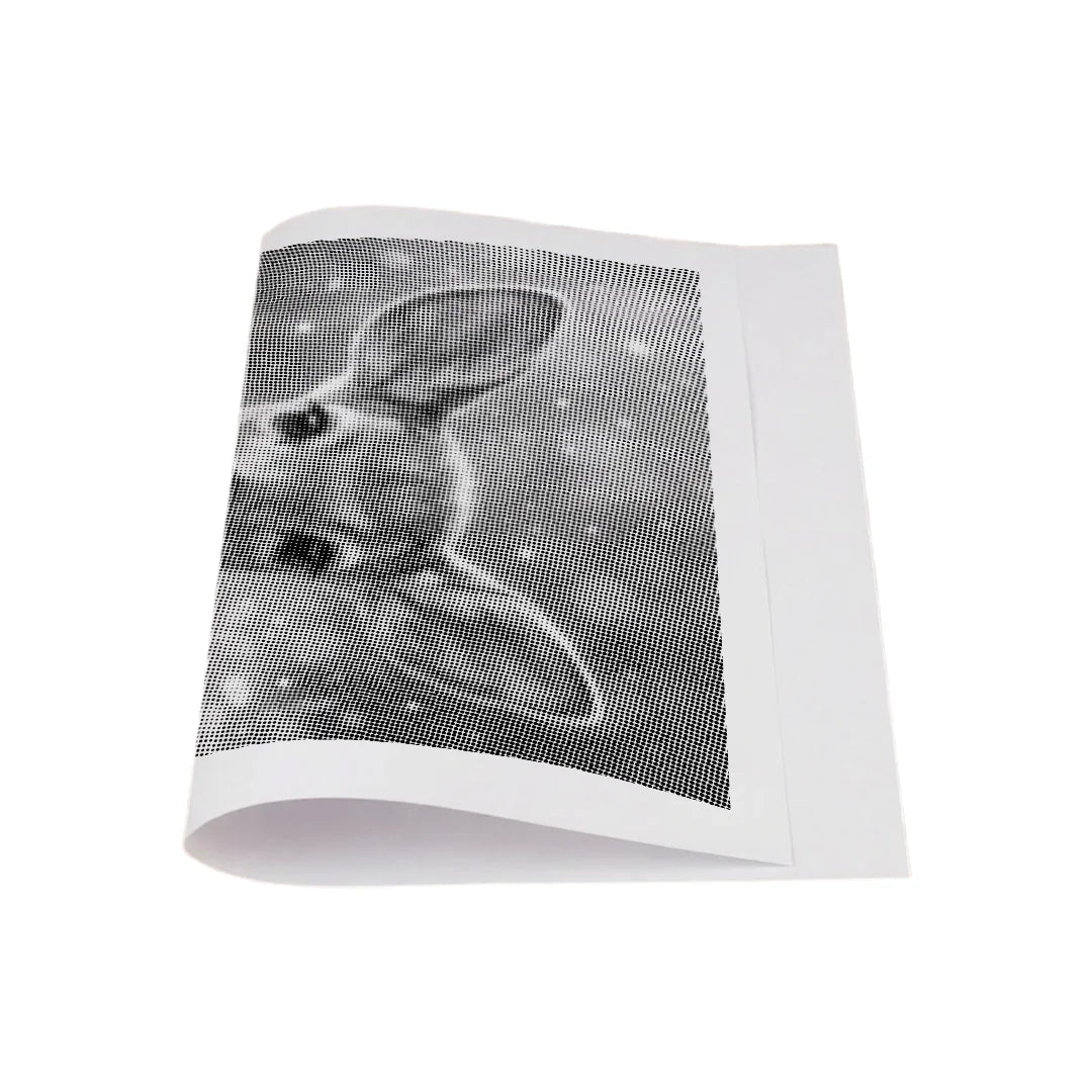 Deer with Flowers Dot Painting