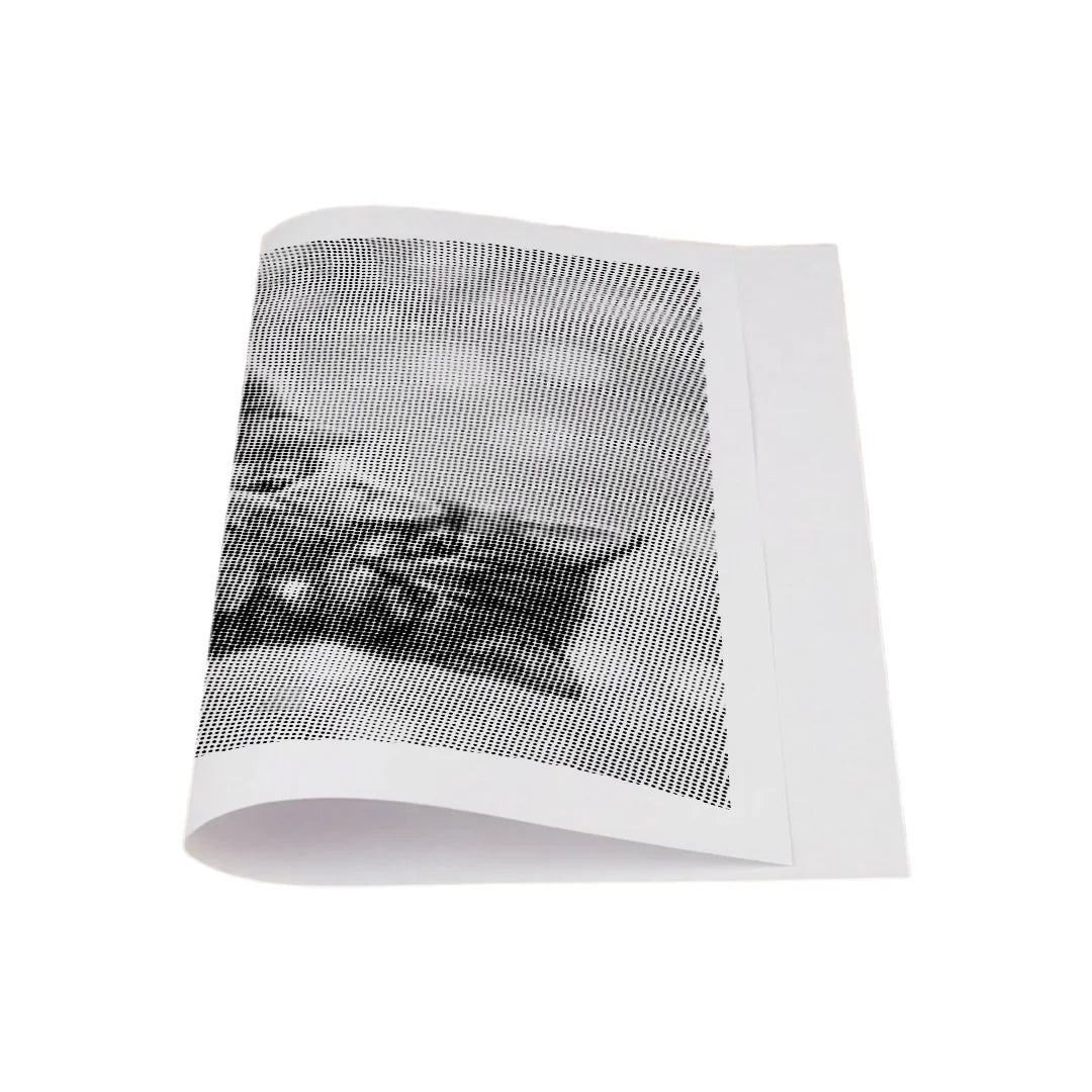 3 Cute Kittens Dot Painting