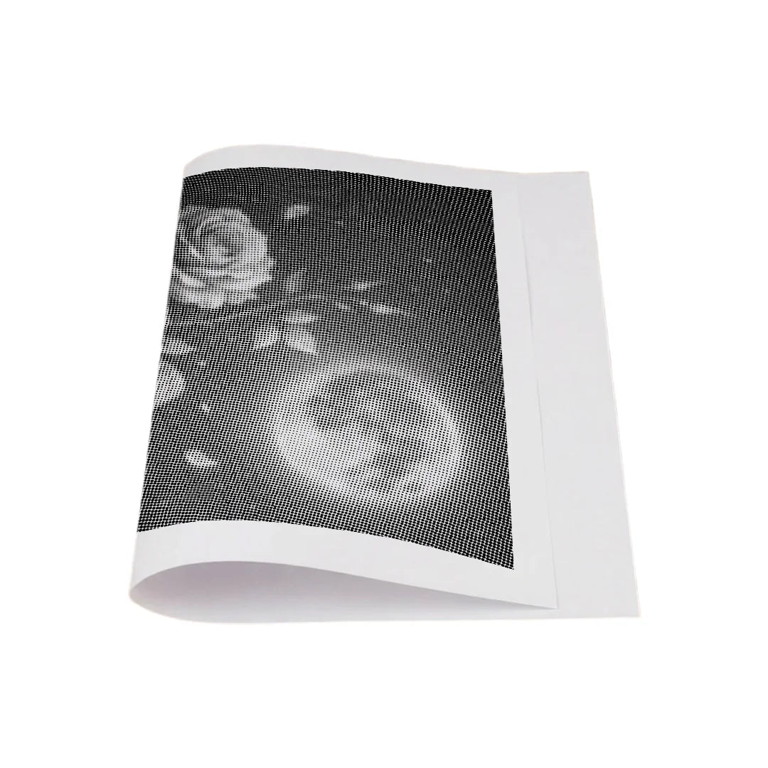 Roses and the Moon Dot Painting