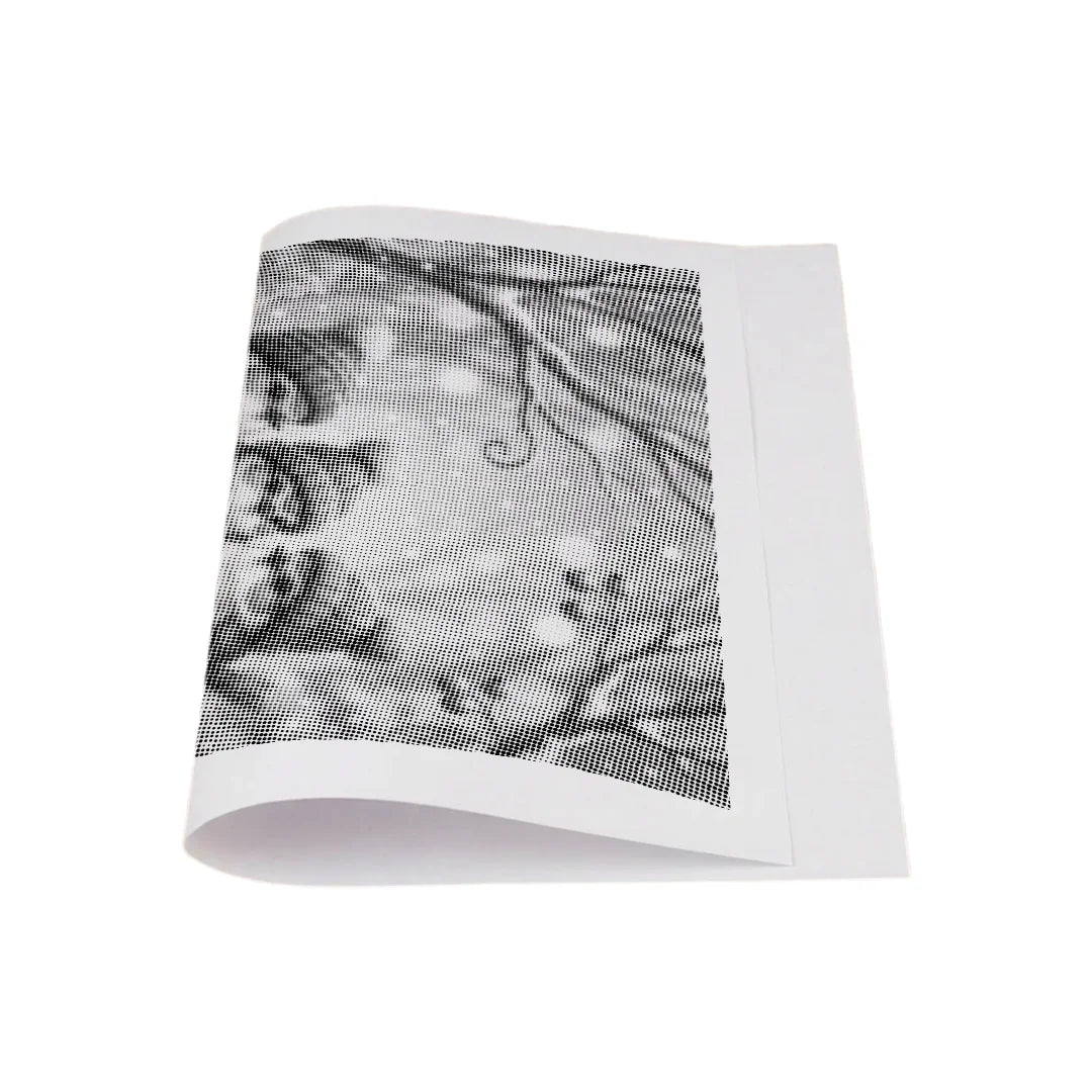 Birds with Hats Dot Painting